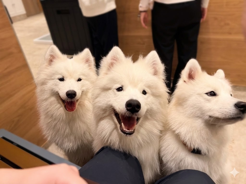 サモエドパーク岡山